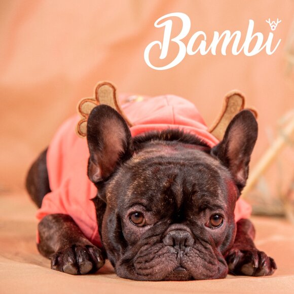 Hoodie for dogs - Dog Clothes - Disney Character - Bambi - Pink or Grey - - Picture 1 of 9